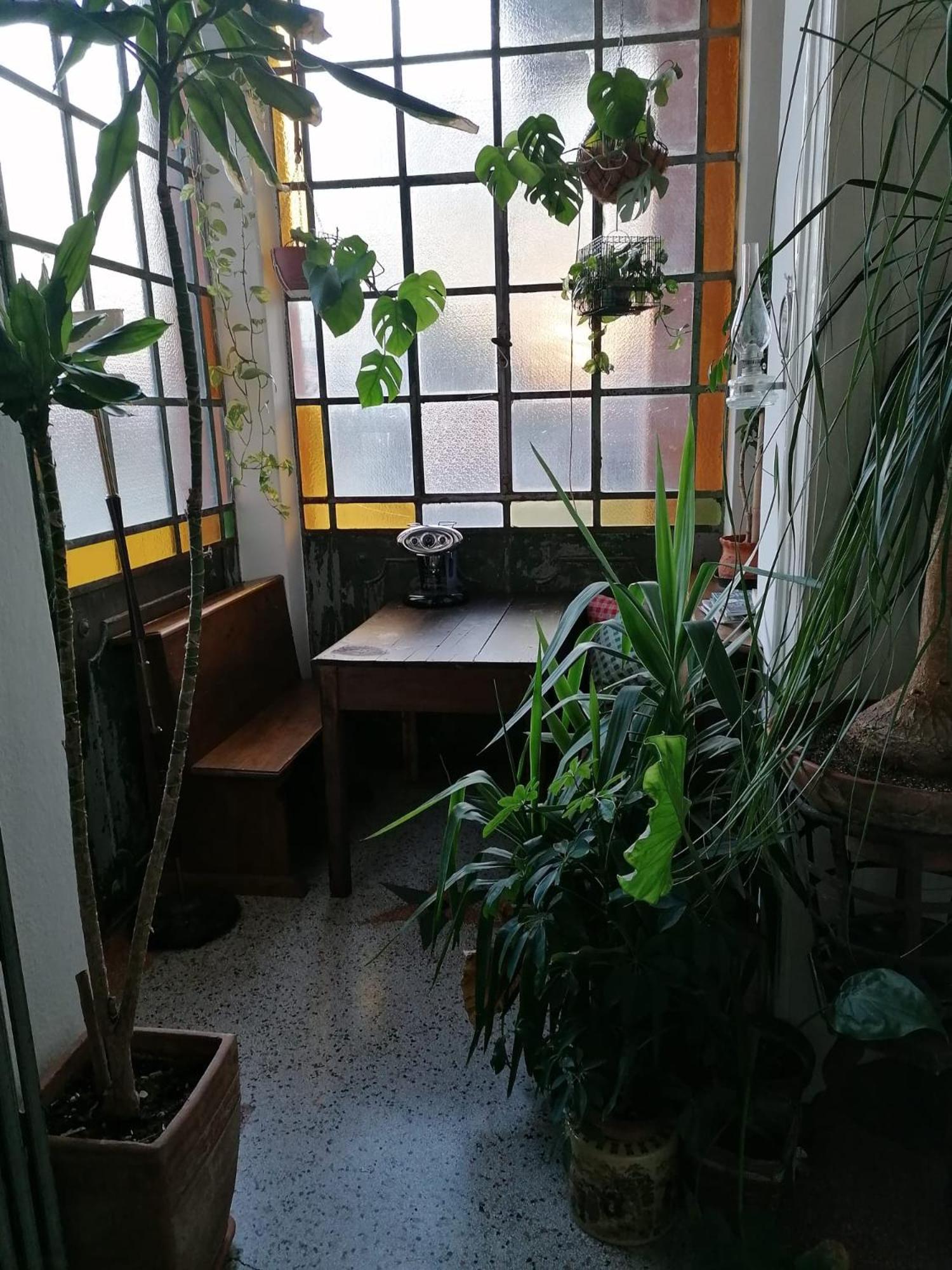 Bed and Breakfast The Liberty Terrace Udine Exterior foto